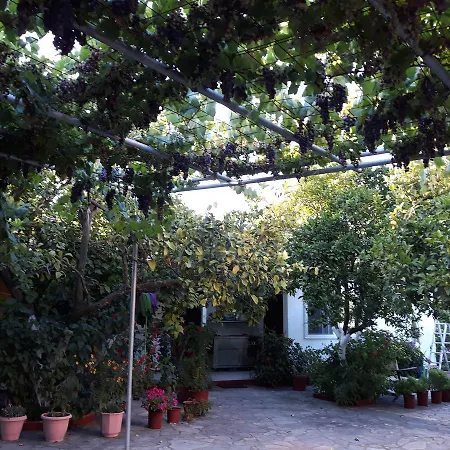 Nouli Sarakiniko (Epirus)